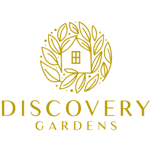 discovery